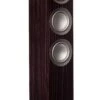 ELAC Navisâ„¢ ARF-51 Powered Floorstanding Loudspeakers (each) 1 ELAC Navisâ„¢ ARF-51 Powered Floorstanding Loudspeakers (each) -High Quality Audio Store ESzxXv1g