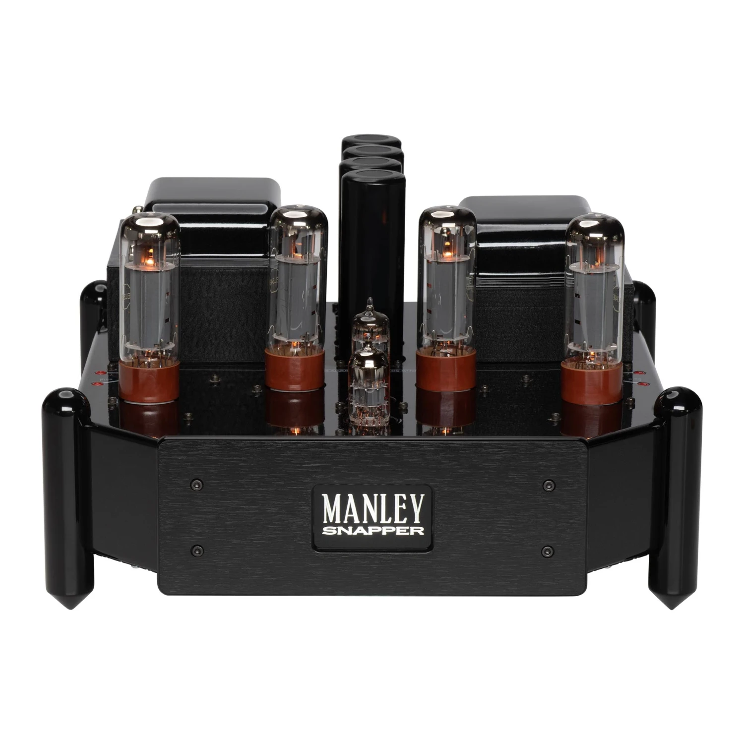 Manley Snapper Monoblock Amplifiers (pair) 4 Manley Snapper Monoblock Amplifiers (pair) - Image 2